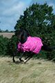 Bucas Freedom Turnout light in Spicy Pink