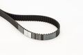 CONTINENTAL CTAM CT1049 Zahnriemen für ABARTH ALFA ROMEO  passend für FIAT