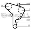 Original CONTINENTAL CTAM Wasserpumpe + Zahnriemensatz CT1044WP3 für Seat Skoda