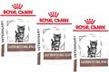 (€ 24,96/kg) Royal Canin Gastrointestinal Kitten 3 x 400 g (1,2 kg) für Kätzchen