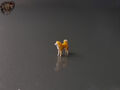 1/87 Shiba Inu Hund Tier Figur Dog Diorama Dekoration H0 HO