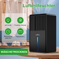 LOEFME Luftentfeuchter elektrisch 2800ml Timer Leise Raumentfeuchter Entfeuchter