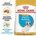 ROYAL CANIN French Bulldog Junior 3kg