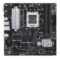 Asus Prime A620m-A-Csm - Corporate Stable Model Amd A620 Am5 Micro ATX 4 DDR5 sehr guter Zustand