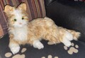 Joy For All Pet Katze Naturgetreu Realistisch Schnurren Interaktiv Rotgetiegert