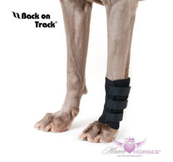 Back on Track Hunde Gelenkschoner Wärmetherapie bei Arthrose Verletzungen etc.