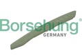 Borsehung Gleitschiene Steuerkette B1G015 für PASSAT TIGUAN MULTIVAN VW 357 CC 6