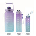 3X/set Sport Wasserflasche Gym Travel Trinkflasche mit Strohhalm BPA frei