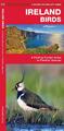 James Kavanagh (u. a.) | Ireland Birds | Broschüre | Englisch (2020) | Ordner