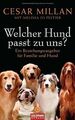 Welcher Hund passt zu uns?: Ein Beziehungsratgeber für F... | Buch | Zustand gut