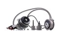 INA 530 0650 30 Wasserpumpe + Zahnriemensatz für VW TIGUAN (5N) Touran (5T1)