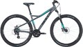 BULLS ZARENA 1 Disc 29 Zoll Rh 46 cm Mountainbike