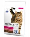 5900951307898 PERFECT FIT Active 1+ Beef - trockenfutter für Katzen - 7kg PERFEC