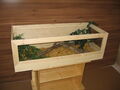 Schildkröten Terrarium 100*50*40cm aus Holz, Landschildkröten, Mäuse, Terra