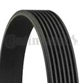 ORIGINAL® Continental Ctam 7PK1623 Keilrippenriemen, Keilriemen für BMW X5