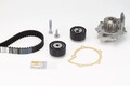 Wasserpumpe + Zahnriemen Satz für Fiat Continental Ctam Ct1037Wp1 2000-2006