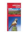 Arizona Birds: A Folding Pocket Guide to Familiar Species, James Kavanagh