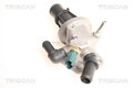 TRISCAN Thermostat, Kühlmittel 8620 24987 für AUDI SEAT SKODA VW