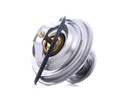 STARK SKTC-0560104 Kühlwasserthermostat für VW Golf IV Schrägheck (1J1) 80 &
