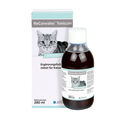 Alfavet ReConvales Tonicum 280 ml | für Katzen bei Untergewicht