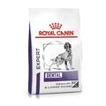 Royal Canin Expert Dental Medium & Large Dogs 6 kg | Zahnfleisch