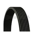 Keilrippenriemen CONTINENTAL CTAM 7PK1549 für FORD MERCEDES-BENZ NISSAN RENAULT