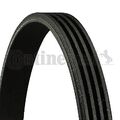 CONTINENTAL CTAM (4PK1080) Keilriemen, Keilrippenriemen für MITSUBISHI SUZUKI