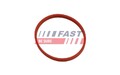 FAST Dichtring, Düsenhalter FT49848 für CITROËN  passend für FIAT FORD