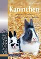 Kaninchen: Artgerecht halten, pflegen und verstehen von ... | Buch | Zustand gut