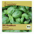BIO Basilikum Samen Genoveser Kräutersamen BIO Saatgut samenfeste Basilikumsamen