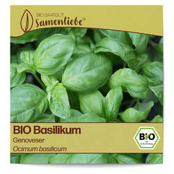 BIO Basilikum Samen Genoveser Kräutersamen BIO Saatgut samenfeste Basilikumsamen