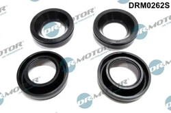 Dichtung für Einspritzdüsengehäuse DRM0262S Dr.Motor Automotive für MAZDA 3 5