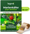 Marienkäferlarven gegen Blattläuse | 7-Punkt-Marienkäfer | 100 Eier für 10 m²