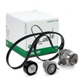 INA 529 0534 30 Wasserpumpe + Keilrippenriemensatz für VW GOLF VI (5K1)