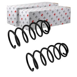 2X NK FAHRWERKSFEDER FEDERN VORNE LINKS+RECHTS passend für VW GOLF