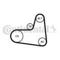 CONTINENTAL CTAM 6PK1005K1 Keilrippenriemensatz für AUDI SEAT SKODA VW