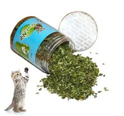 Kräuter Katzenminze Catnip für Katzenspielzeug macht Katzen verrückt 20 g