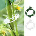 300 Stück Tomato Veggie Garden Plant Support Clips Trellis Twine Greenhouse Too