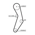 Gates Zahnriemen 5503XS für ABARTH ALFA ROMEO  passend für FIAT JEEP LANCIA