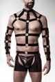 GREY VELVET MEN 4 - teiliges Harness Set L - XL