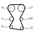 CONTINENTAL CTAM Zahnriemensatz  u.a. für HYUNDAI, KIA, MITSUBISHI
