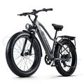 E Bike 1000W Elektrofahrrad 26 Zoll E Mountainbike 48V 20Ah City E-Bike Pedelec