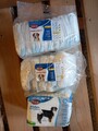 Trixie Hundewindeln, Windeln für Hunde Gr M L