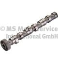 Kolbenschmidt (50006302) Nockenwelle Auslassseite für AUDI SKODA VW