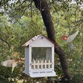Vogelfutterspender Mit Dach, Automatischer Kolibri-Futterspender Für Den