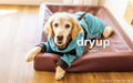 Dryup Body Zip Fit petrol Hundehandtuch  Bademantel trocken Frottee Baumwolle