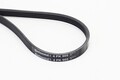 CONTINENTAL CTAM Keilrippenriemen 4PK905 für FIAT CHRYSLER RENAULT DACIA MAZDA