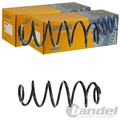 2X SPIDAN FAHRWERKSFEDERN HINTEN PASSEND FÜR FIAT DOBLO OPEL COMBO LINKS+RECHTS