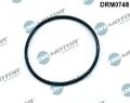 Original Dr.Motor Automotive Dichtung Unterdruckpumpe DRM0748 für BMW Citroën