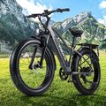 E Bike 26 Zoll Mountainbike Elektrofahrrad 1000W E-Fahrrad 48V 20AH Pedelec MTB